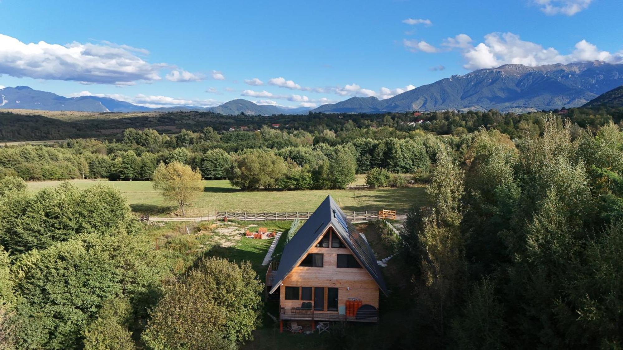 Timbernest Chalet Bran (Brasov)