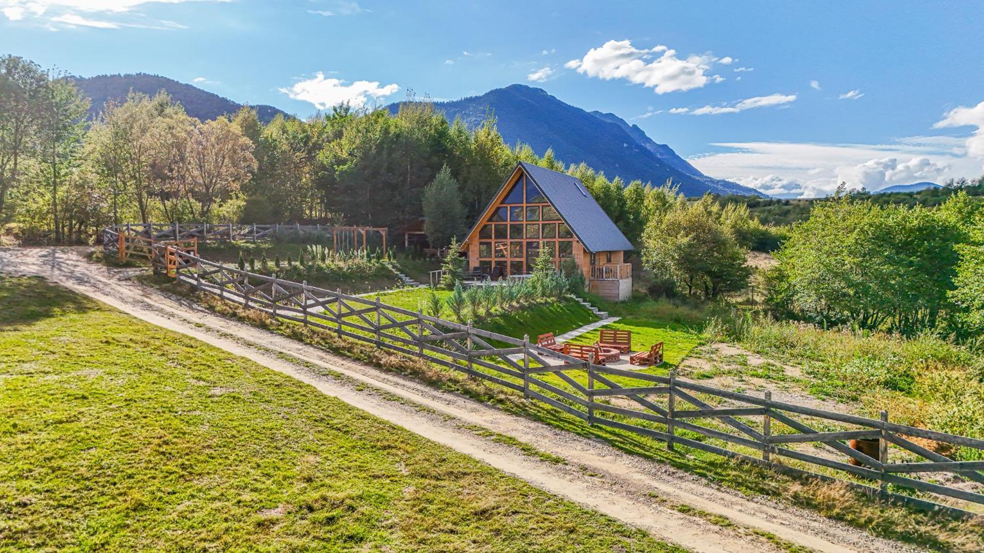 Timbernest * Bran (Brasov)