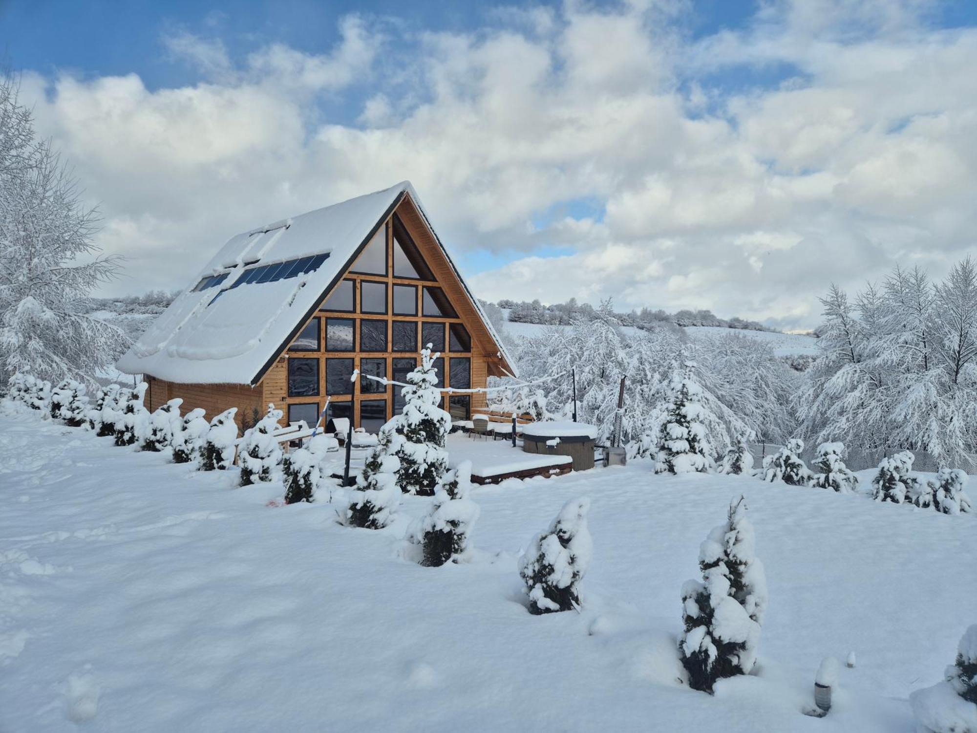 Timbernest Bran (Brasov)
